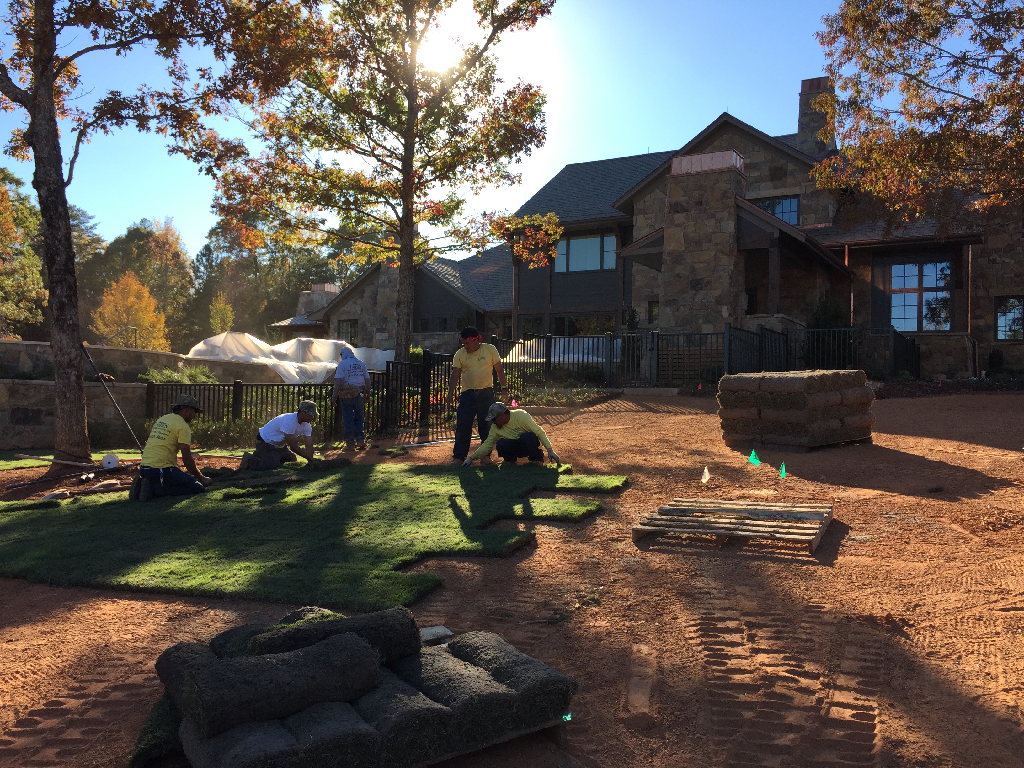 Men Working on a Yard